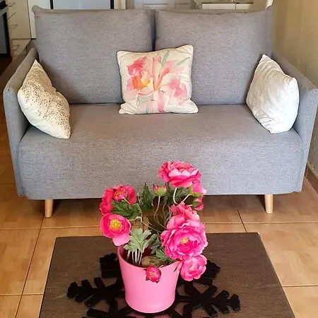 דירה Vistasalsol Tenerife ארונה